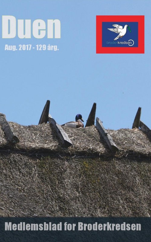 6 - August 2017
